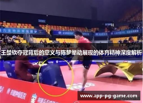 王楚钦夺冠背后的意义与陈梦举动展现的体育精神深度解析